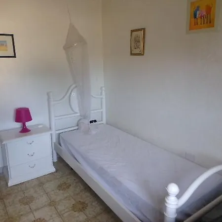 Meravigliosa فيلة *