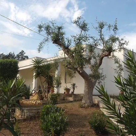 فيلة Meravigliosa كاروفينيو